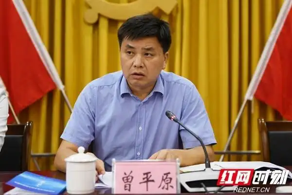 以特别之举攻坚之策推动城市发展|岳阳楼区|曾平原|疫情防控|区委