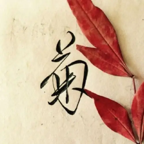 菊||字素||橡皮章素材||来自微博