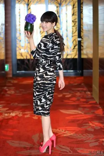 柳岩身着斑马低胸深v短裙拍摄写真大秀豪乳(组图)