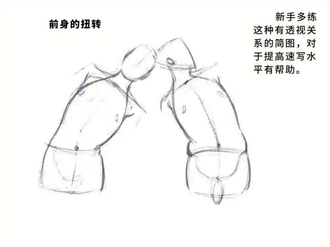 迪士尼人体简图躯干部分默画速写