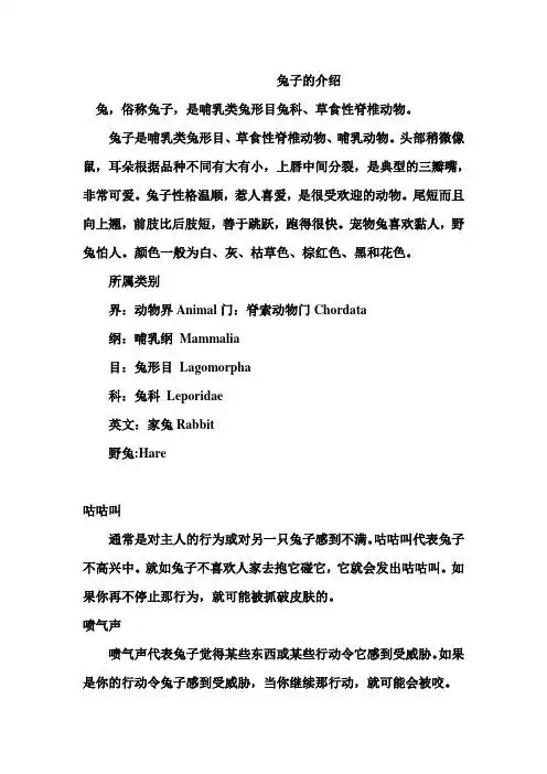 兔子是哺乳类兔形目,草食性脊椎动物,哺乳动物.