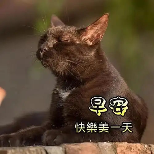 9张最新创意好看的秋日早安图片带祝福语不用打字聊天的早上好问候