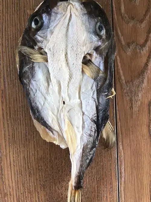 这是河豚鱼干吗