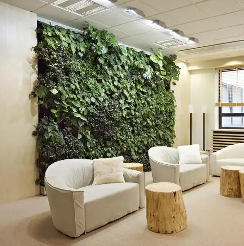 室内高层植物墙的打造有什么技术要点