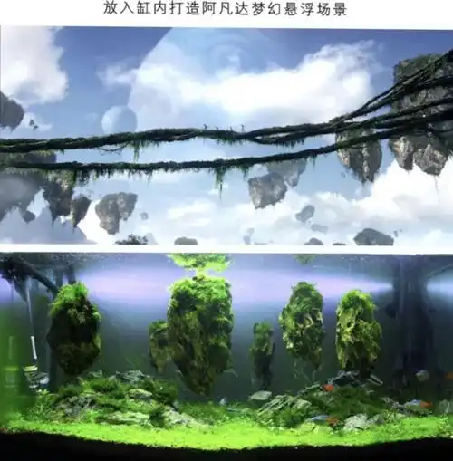鱼缸造景悬浮石鱼阿凡达造景浮石天然轻石莫斯水草悬空石水景装饰