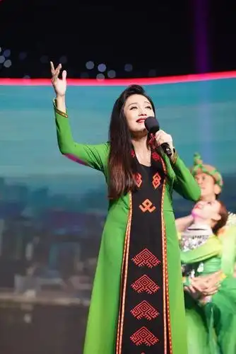 包括深受海南观众喜欢的一代"歌王"冯磊,吴晓芸,陈晶晶,琼剧著名花旦