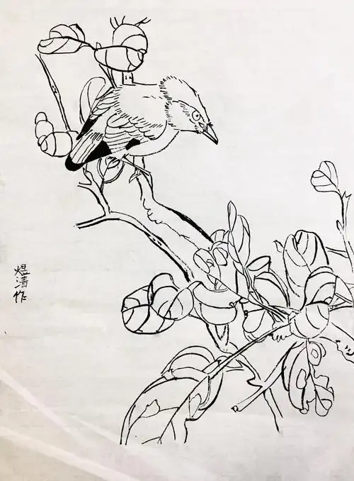 2019.1.24周六上午班·白石大师班作品·白描花鸟 - 美篇