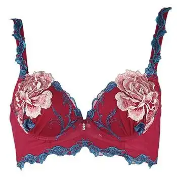 桑扶兰专柜2013新款高档刺绣奢华大花调整型文胸聚拢内衣acd41_re红色