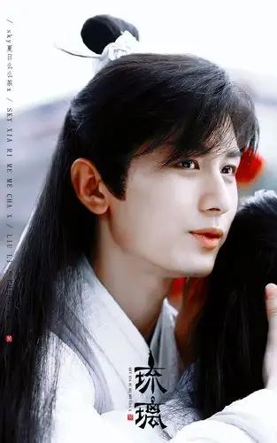 琉璃 禹司凤(成毅)