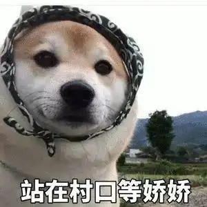 你的骚逼婊子妈长得就好像一头刚刚被轮奸的母猪表情包 - 表情图