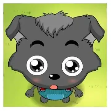 唯爱小灰灰^_^12张照片 卡哇依