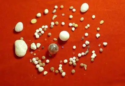 深圳弘法寺举行恭请本焕长老舍利奉安仪式