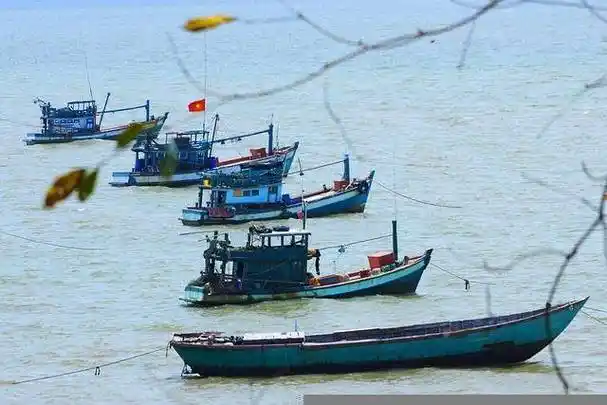 2023年648万吨捕捞量引领全球,应对核污水挑战_市场_男性_渔业