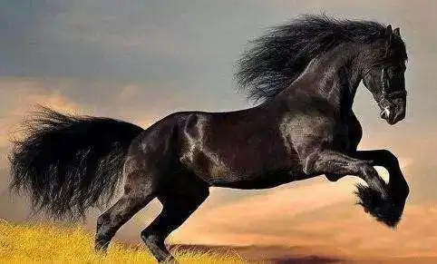 三国最厉害的5匹战马日行千里夜得八百你知道是谁的坐骑吗