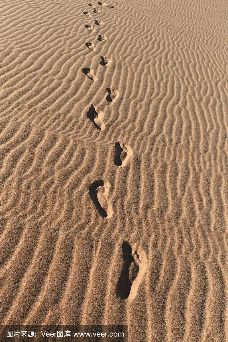 沙丘沙漠上的脚印