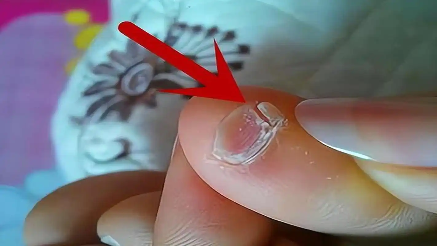 小脚趾拥有两瓣甲的人,到底是何神秘来历?是不是纯种汉人?