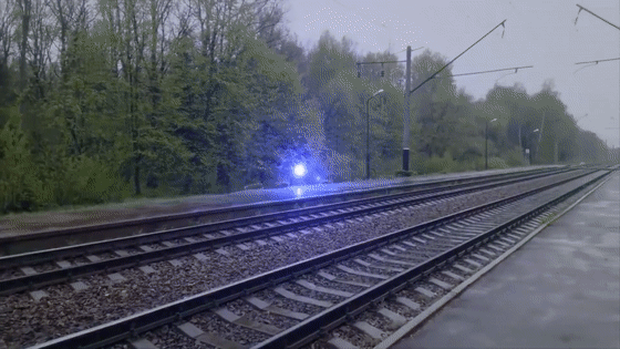 瘦成一道闪电你可能没见过胖成球的