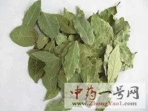 香叶的功效与作用_食用方法及禁忌-中药一号网