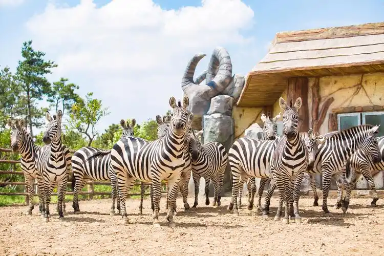 泉城欧乐堡动物王国