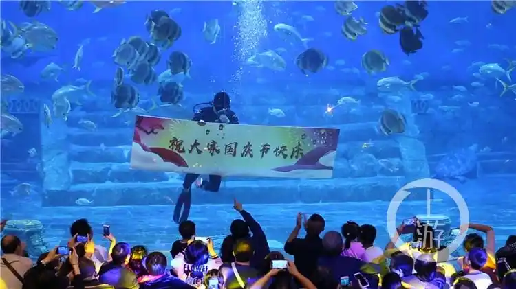 燃美女水中舞动五星红旗上万海洋生物陪你过国庆