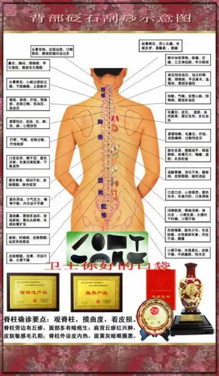 全息经络刮痧疗法视频