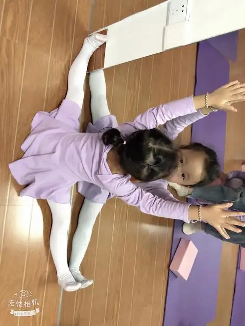 2.训练组合:前压腿