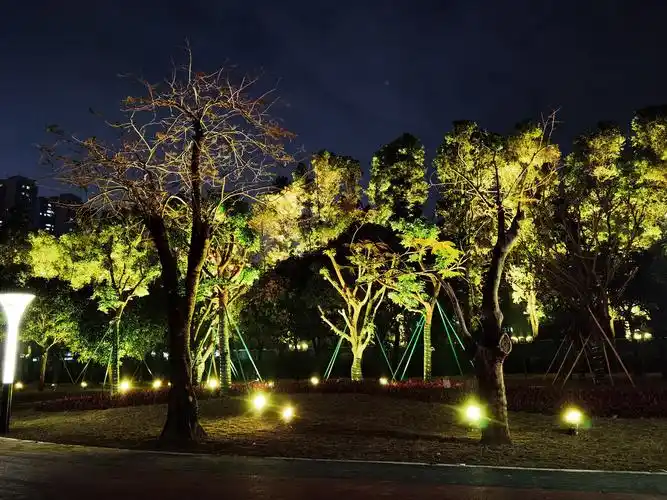 多彩灯光夜树景戚伟雄摄于广东佛山文华公园