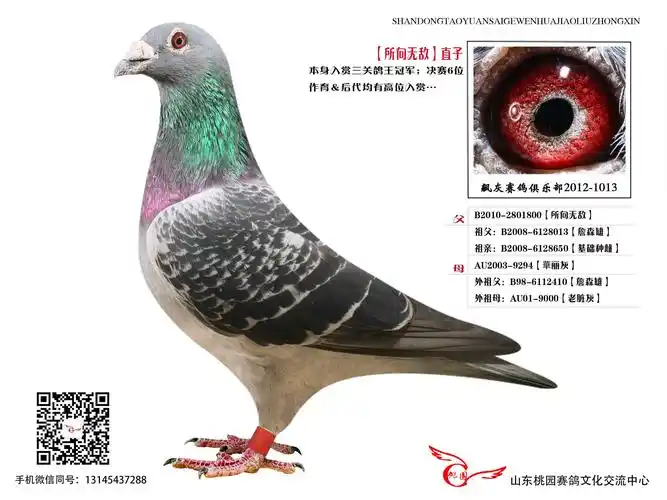 【所向无敌】直子