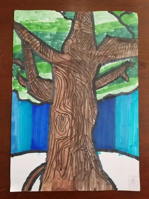 本节课学习了古柏树的画法,用线条表现了树皮上的纹理和树的高大.