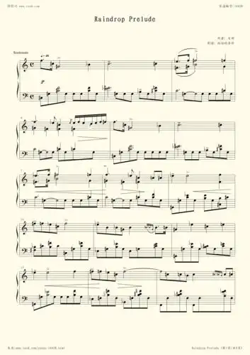 钢琴谱:雨滴前奏曲 c调版