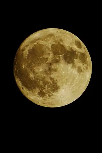 八月十五的月亮,月亮下面的花,花好月圆