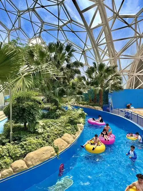 夏天|鲨吻|欢乐岛|水上乐园_网易订阅