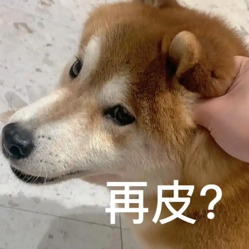 叮咚!你的汪汪队小伙伴上线了 #柴犬表情包 #萌宠 #表情包 - 抖音
