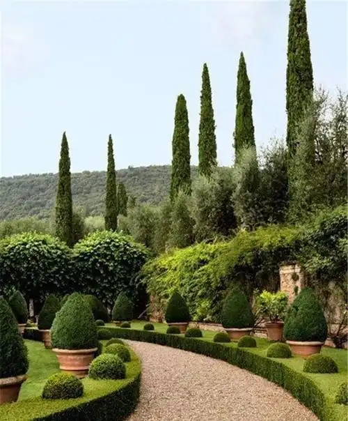 [分享]景观绿化知多少?