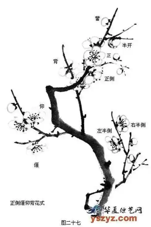亿画百科|国画梅花的各种画法