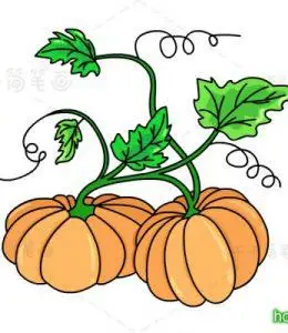 丰收的南瓜卡通简笔画大全