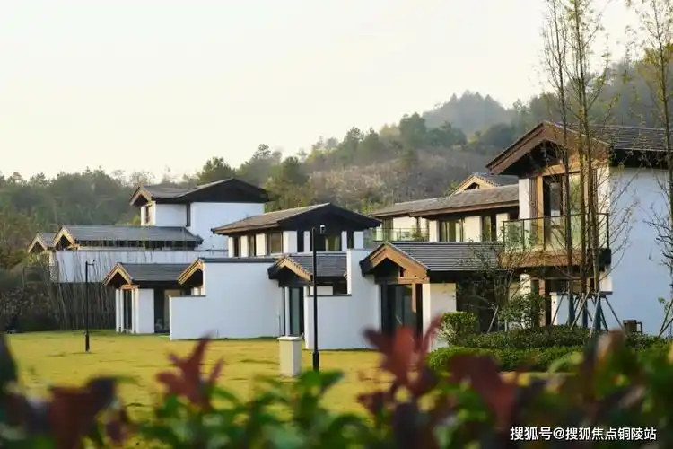 官网湖州绿城桃花源桃源壹号安吉绿城桃花源最新内幕曝光图文解析