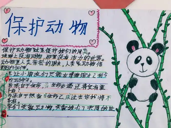 四年级写一份描写动物的手抄报四年级手抄报