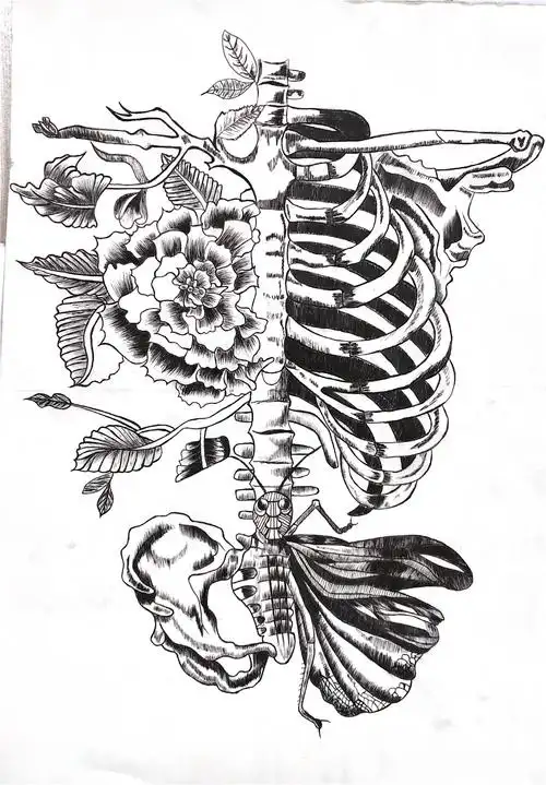 提升学生对解剖学习的兴趣,由长治卫校基础教研室解剖教学组主办,绘画