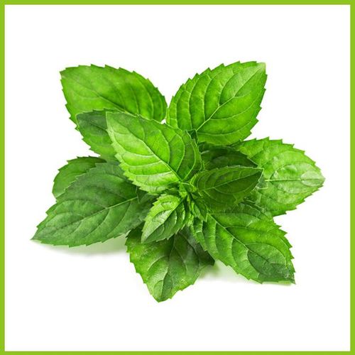 薄荷脑纯正正品中药材食品品级薄荷白熊天然100克其它食品添加剂