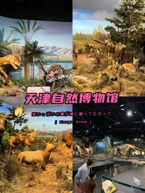 但是需要提前预约关注微信公众号-天津自然博物馆,即可预约博物馆一共