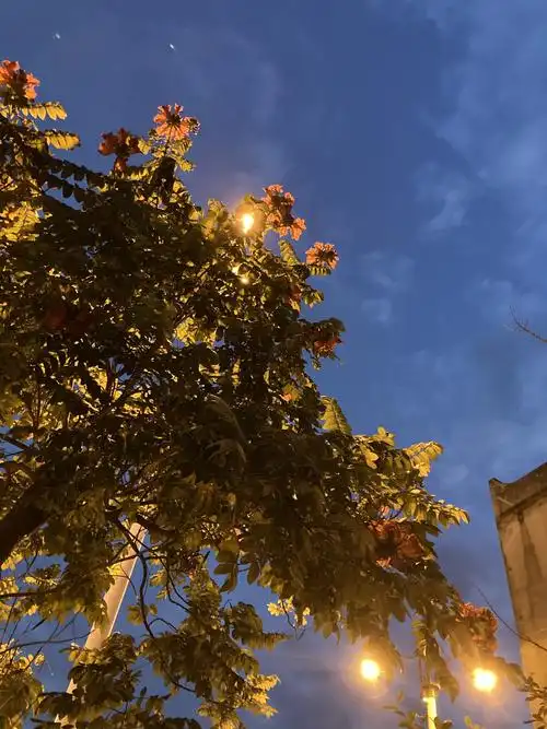 又是周一,天亮就出发,等车了