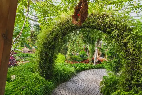 世界花卉大观园温室小记