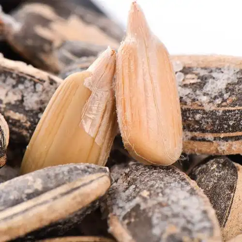 陕北延安特产炒盐瓜子向日葵籽 炒货干货葵花籽500克包邮