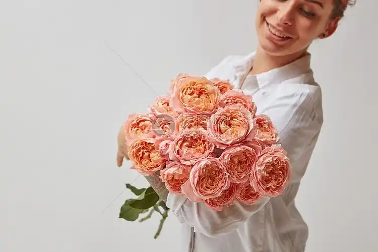 唯美拿花的女生头像玫瑰的女人女孩修剪灌木丛(玫瑰)与割枝在花园在