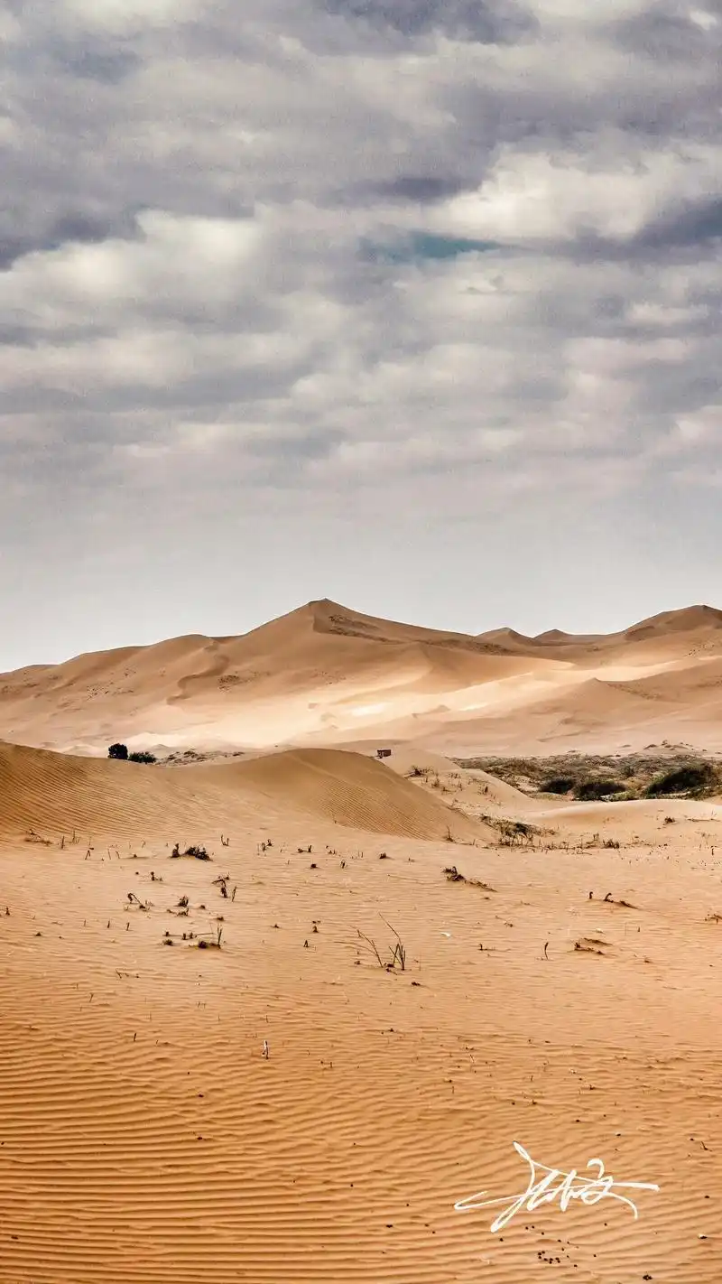 沙漠风光掠影9615.