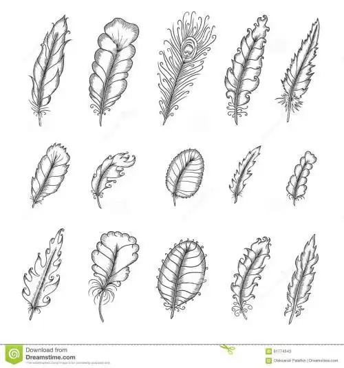 一根羽毛简笔画步骤