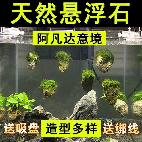 鱼缸造景莫斯水草天然悬浮石阿凡达景观水族石头浮石立体造景装饰
