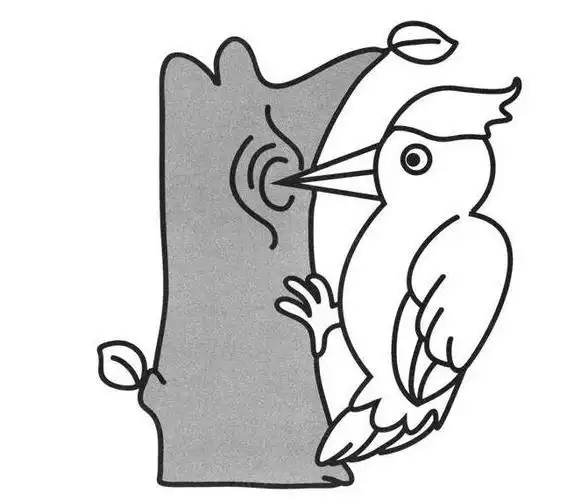 啄木鸟怎么画 卡通啄木鸟简笔画教程