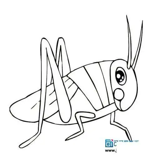 儿童简笔画蝈蝈 儿童简笔画蝈蝈昆虫简笔画素材蝈蝈的画法简笔画教
